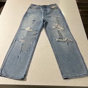 Wild Fable Distressed Jeans